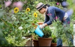 11 Ways to Keep Gardening with Back Pain