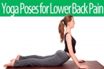 3 Beginner Yoga Poses for Lower Back Pain Relief