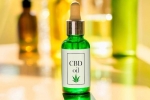 All About CBD Oil
