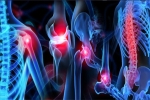 All You Need to Know About Musculoskeletal Pain