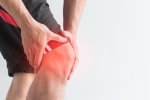 All You Need to Know About Your Knees