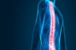 Alleviate Back Pain With Stem Cell Therapy!