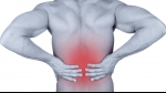 Are you suffering from Lower Back Pain?