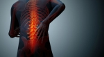 Back Pain: The Scientific Mind Body Guide