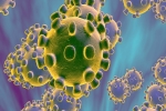 Coronavirus, Common Cold, Flu or Allergy