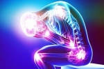 Four Causes Of Chronic Back Pain