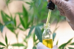 Health Benefits and Risks of Using CBD Oil