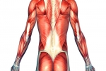 How to Treat Lower Right Back Muscle Strain