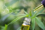 How To Use CBD To Manage Pain?