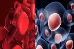 Platelet-Rich Plasma Therapy Vs. Stem Cell Therapy