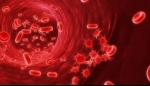 PRP Therapy In The Management of Musculoskeletal Pain
