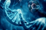Regenerative Medicine: Stem Cell Therapy