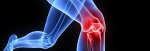 Stem Cell & PPR Procedures for Knee Arthritis, Meniscus Tears, Tendon & Ligament Tears, Overuse Injuries and Other Conditions