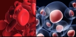 Stem Cell Platelet-Rich Plasma: Best Regenerative Therapy?