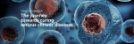 Stem Cell Research Advancing Rapidly