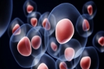 Stem Cell Therapy and Its Significance in Pain Management