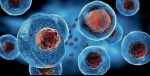 Stem Cells in Pain Medicine (2)