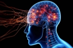 Train Your Brain Away From Chronic Pain
