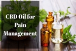 Using CBD Oil for Pain Management: Does It Work?