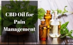 Using CBD Oil for Pain Management: Does It Work?