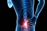 What Is Better For Back Pain, Stem Cell or Surgery?