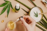 Health And Wellness: What Is CBD And Types Of It