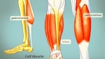 Why Does My Calf Muscle Hurt?