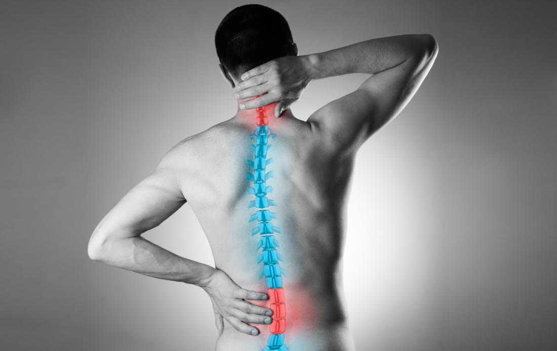 Blog  The Basics of Back Pain and Spinal Anatomy