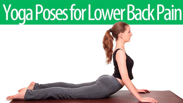 Blog  3 Beginner Yoga Poses for Lower Back Pain Relief