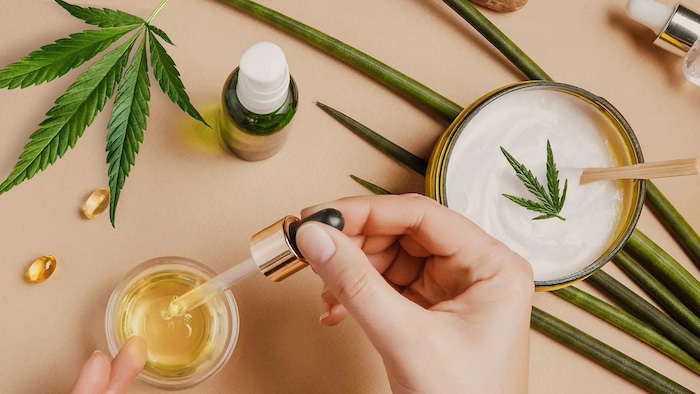 Blog | Health And Wellness: Best CBD Creams for Pain